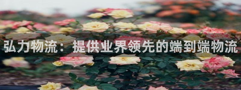 28圈预测加拿大：弘力物流：提供业界