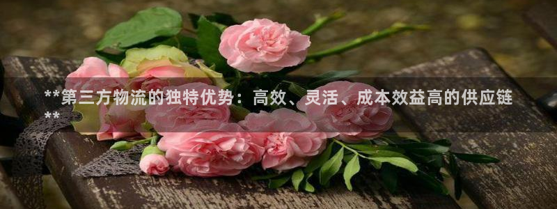 28圈现在狂杀：**第三方物流的独特