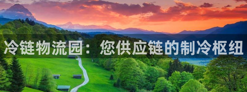 28圈选28ng官网