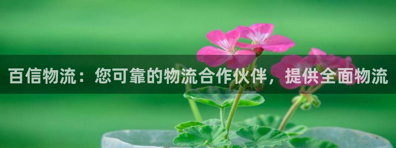 28圈违法吗：百信物流：您可靠的物流