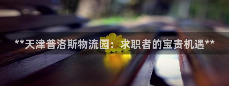 28圈反水