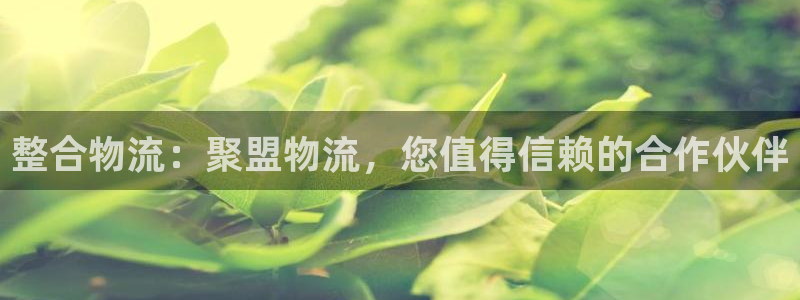 28圈app官网少林足球：整合物流：