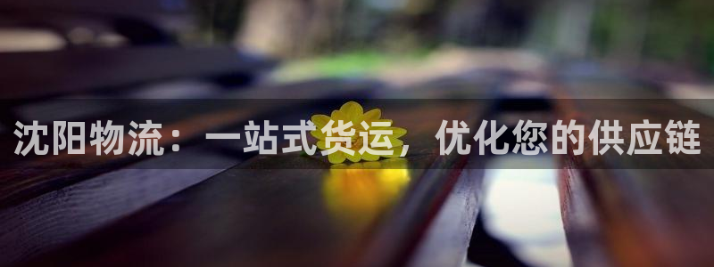 28圈免费充钱：沈阳物流：一站式货运