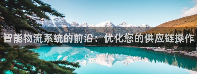 28圈能退款吗：智能物流系统的前沿：