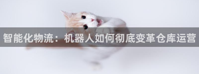 28圈注册问一问：智能化物流：机器人