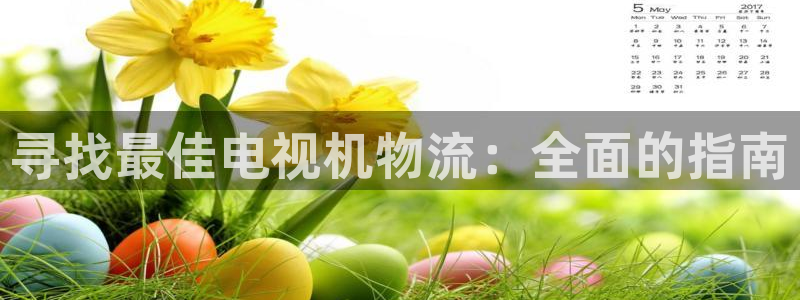 28圈为什么打不开：寻找最佳电视机物
