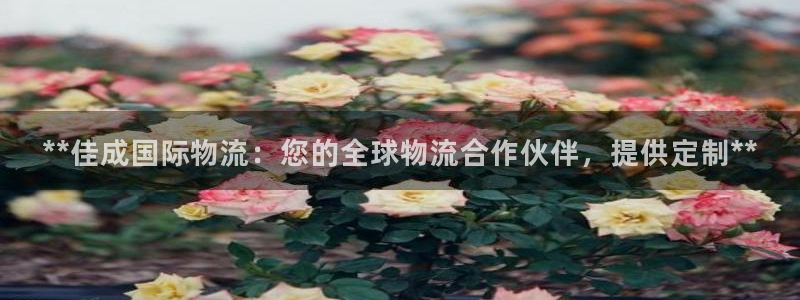 28圈充值不到账怎么办