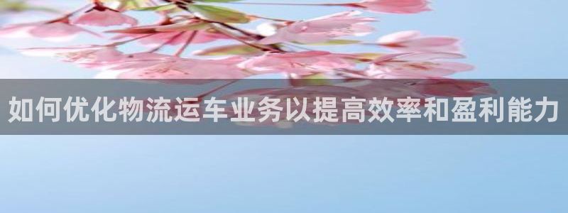 28圈模拟：如何优化物流运车业务以提