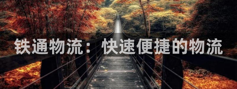 28圈注册：铁通物流：快速便捷的物流