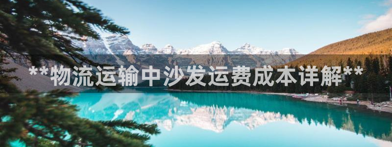 28圈选28ng官网：**物流运输中