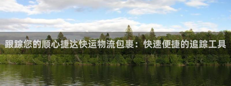 28圈模拟器：跟踪您的顺心捷达快运物