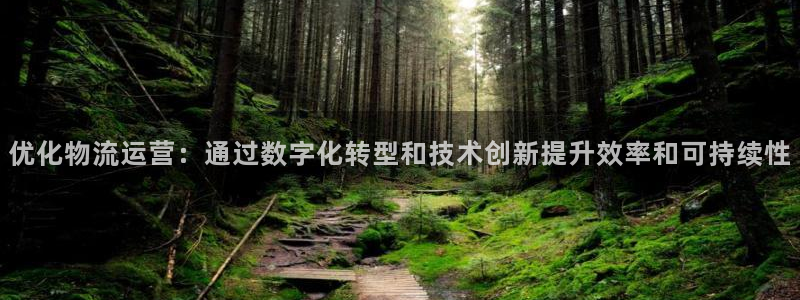 28圈如何退款