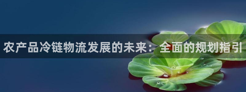 28圈app官网少林足球