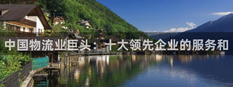 28圈登录不上咋回事：中国物流业巨头