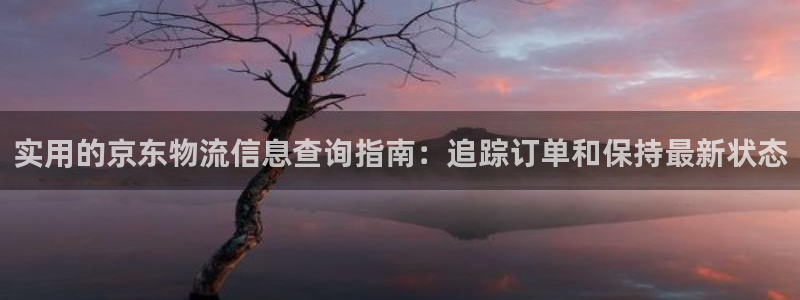 28圈网赌案件