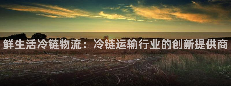28圈：鲜生活冷链物流：冷链运输行业