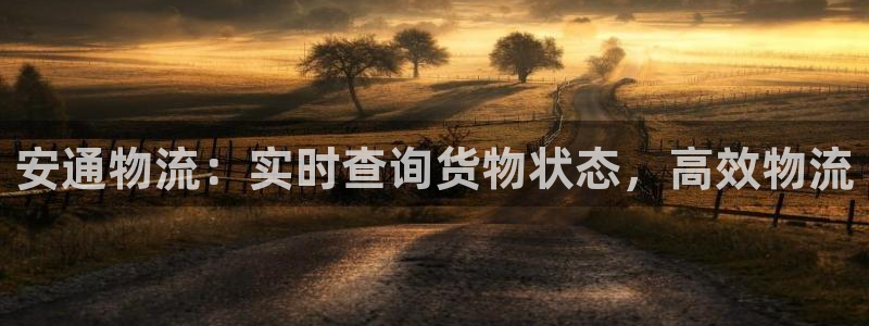 28圈下载不了：安通物流：实时查询货