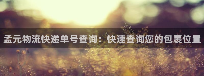 28圈官网注册：孟元物流快递单号查询