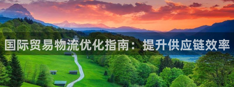 28圈为什么打不开：国际贸易物流优化