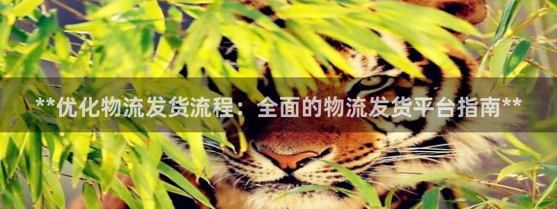 28圈圈助手：**优化物流发货流程：