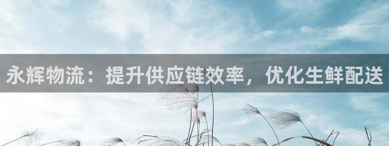 28圈是干嘛的
