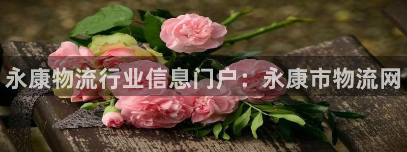 28圈分分28输了能不能退：永康物流