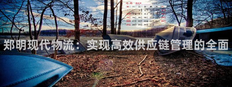 28圈下载不了：郑明现代物流：实现高