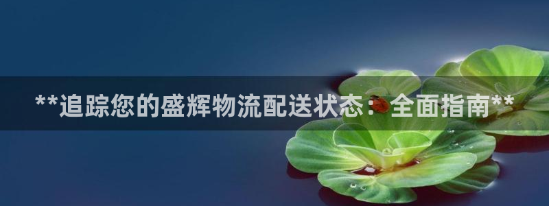 28圈连接：**追踪您的盛辉物流配送