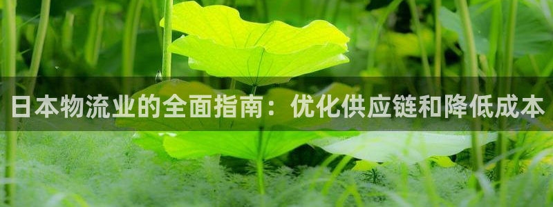 28圈加拿大预测：日本物流业的全面指