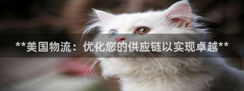 28圈注册：**美国物流：优化您的供