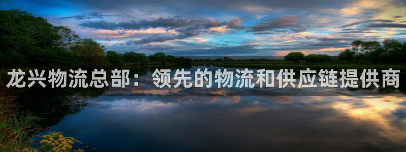 28圈官网版下载：龙兴物流总部：领先