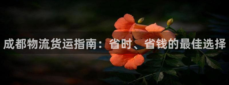 28圈.ccm正版：成都物流货运指南