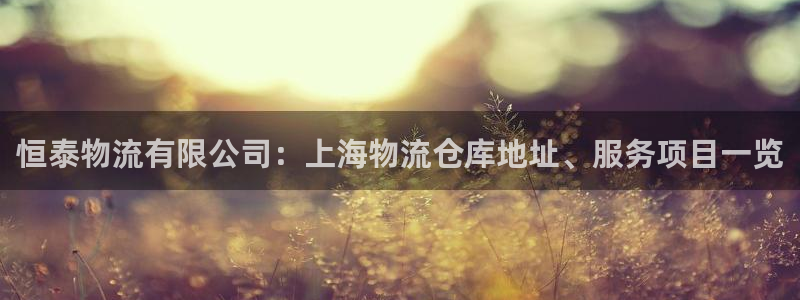 28圈系统自动保护：恒泰物流有限公司