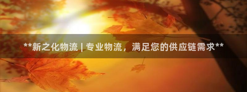 28圈为什么没有赢过一次：**新之化