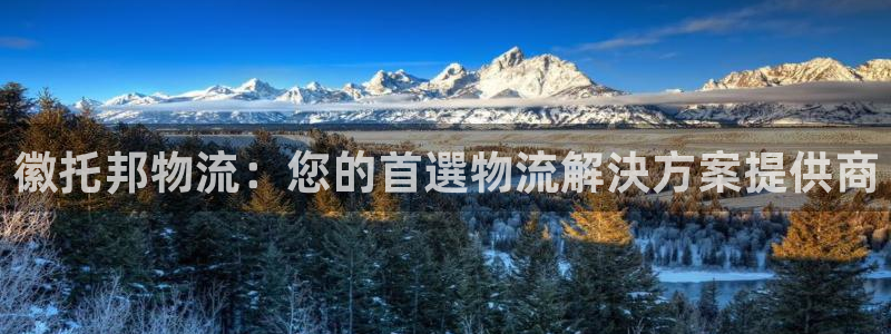 28圈充值不到账：徽托邦物流：您的首