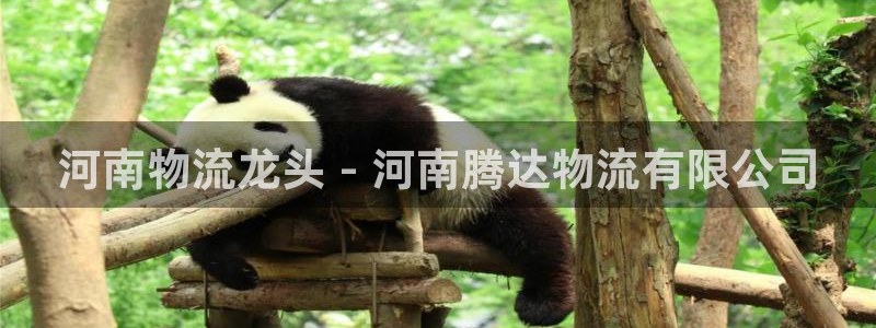 28圈辅助：河南物流龙头 - 河南腾