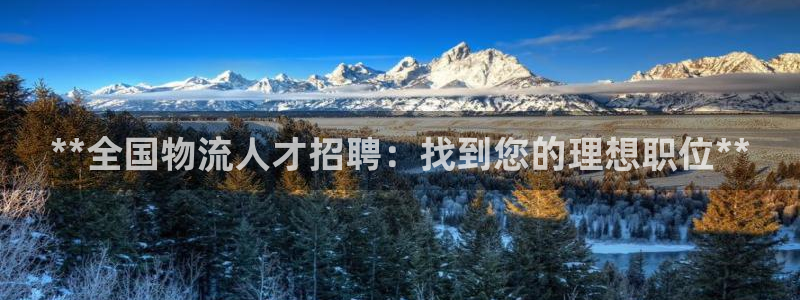 28圈官网多少：**全国物流人才招聘