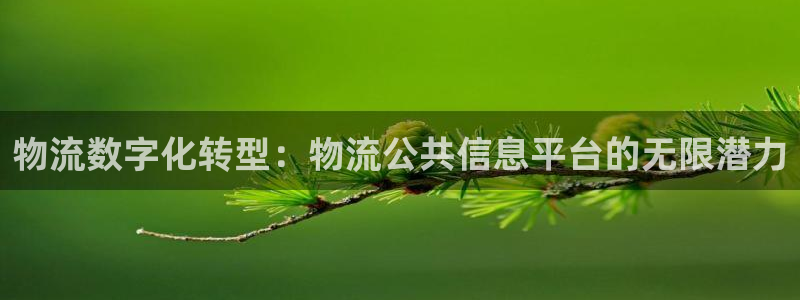 28圈比特28预测在线预测