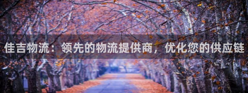 28圈入口问一问：佳吉物流：领先的物
