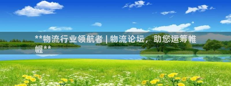 28圈注册平台：**物流行业领航者 