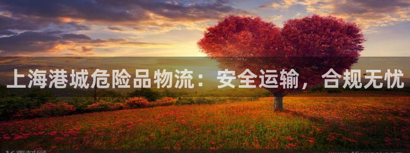 28圈加拿大走势：上海港城危险品物流