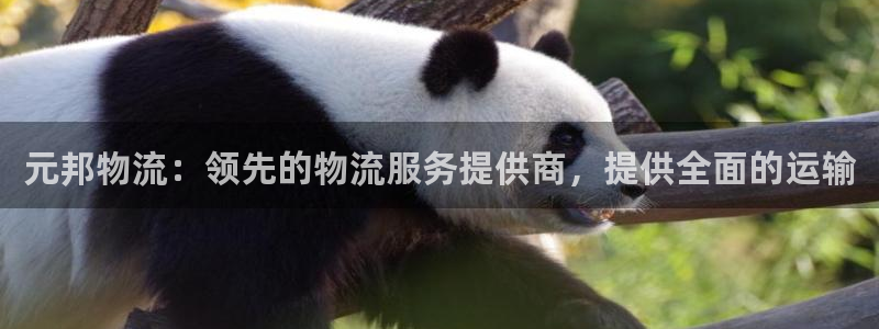 28圈分分压单双技巧：元邦物流：领先