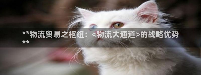 28圈注册网站加拿大：**物流贸易之