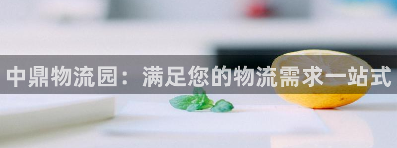 28圈哪个最赚钱：中鼎物流园：满足您
