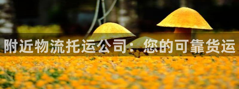 加拿大28圈数字规则：附近物流托运公
