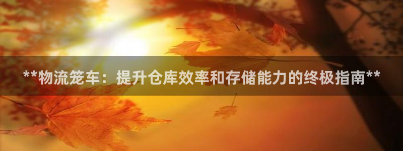 28圈忘记账号：**物流笼车：提升仓