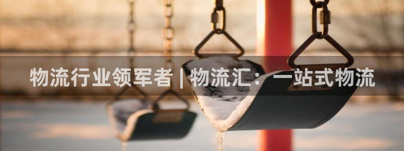 28圈旗下：物流行业领军者 | 物流