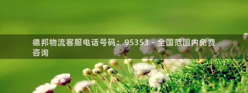 28圈新用户怎么注册：德邦物流客服电