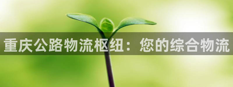 28圈忘记账号：重庆公路物流枢纽：您
