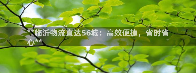 28圈软件有什么用